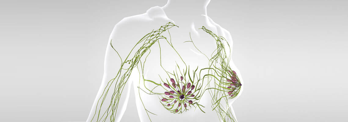 Breast Surgeon Hereditary Breast Cancer Surgeon in Ahmedabad, Gujarat & Rajasthan