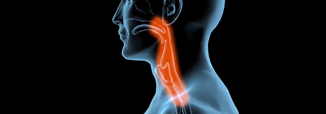 Head & neck cancer surgeon Head & neck cancer surgeon in ahmedabad, gujarat & rajasthan
